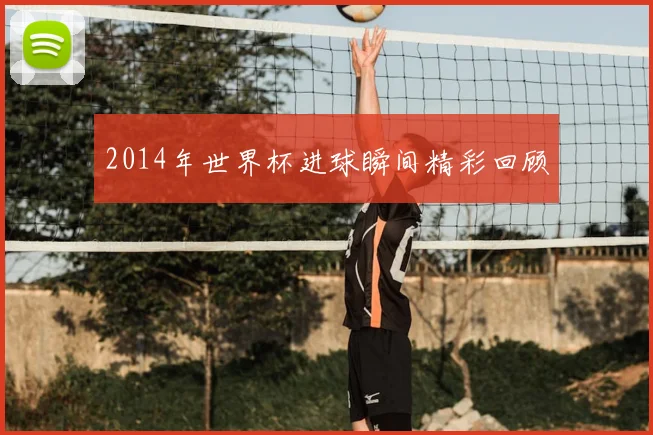 2014年世界杯进球瞬间精彩回顾