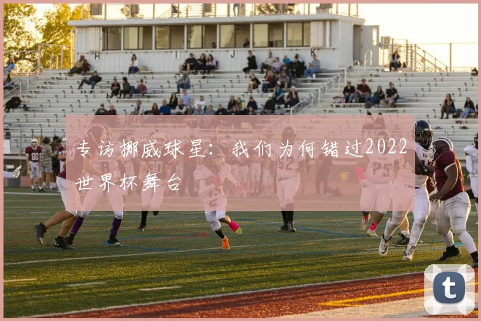 专访挪威球星：我们为何错过2022世界杯舞台